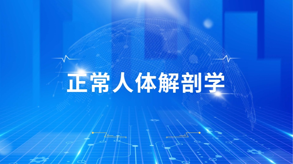 正常人体解剖学